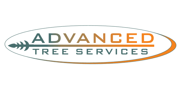 Advanced Tree Services, website design client