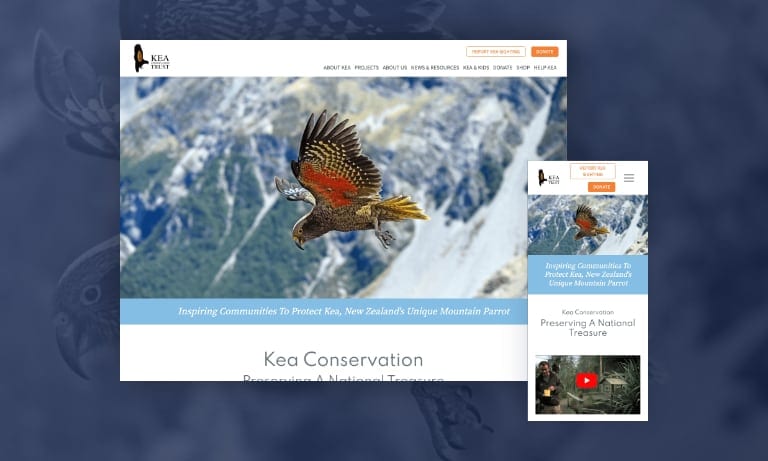 Website design for Kea Conservation Trust