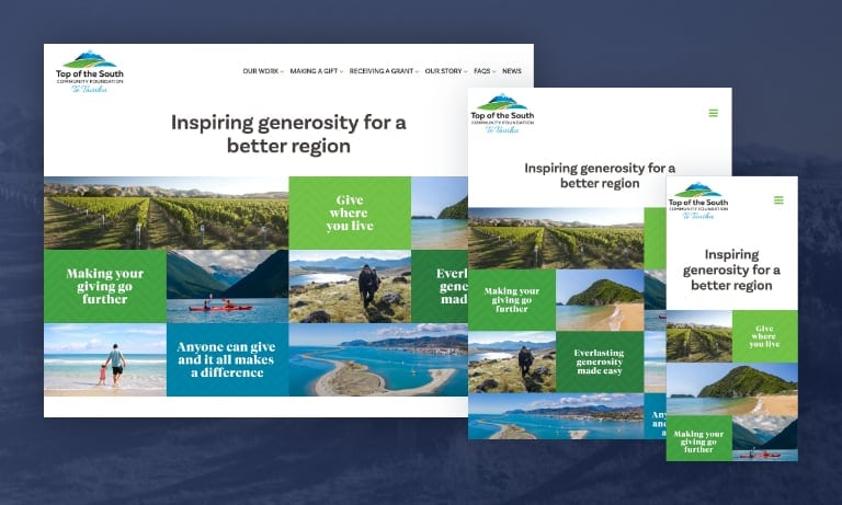 Website design for Top of the South Community Foundation